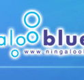Ningaloo Blue Dive - Accommodation Gold Coast