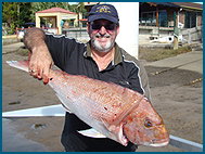 Odyssey Charters - Accommodation Gold Coast 1