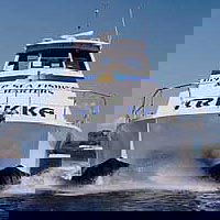 Sunshine Coast Fishing Charters - Gold Coast 4U 0