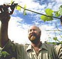 Barossa Experience Tours - Gold Coast 4U