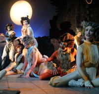 Harvest Rain Theatre Company - Accommodation Gold Coast