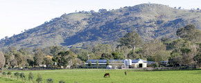 Blue Gum Farm - Accommodation Gold Coast 1