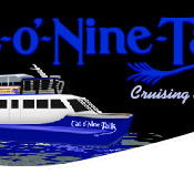 Cat O' NineTails - Accommodation Gold Coast
