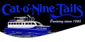 Cat O' NineTails - Accommodation Gold Coast 0