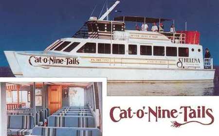 Cat O' NineTails - Accommodation Gold Coast 1
