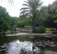 Brisbane City Botanic Gardens - Accommodation Gold Coast