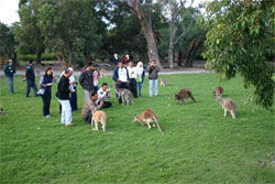 Caversham Wildlife Park - Accommodation Gold Coast 2