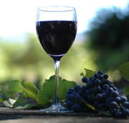 Lion Mill Vineyards - Accommodation Gold Coast