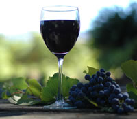 Lion Mill Vineyards - Accommodation Gold Coast 0