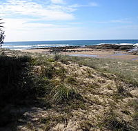 Deepwater National Park - Accommodation Gold Coast