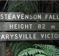 Stevensons Falls - Accommodation Gold Coast