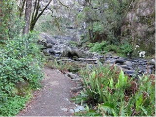 Stevensons Falls - Accommodation Gold Coast 1