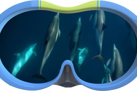 Dolphin Swim Australia - Gold Coast 4U 3
