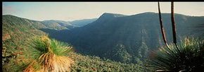 Lamington National Park And OReillys - Accommodation Gold Coast 1