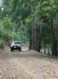 Lamington National Park And OReillys - Accommodation Gold Coast 2