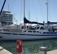 Coral Sea Dreaming Dive and Sail - Accommodation Gold Coast