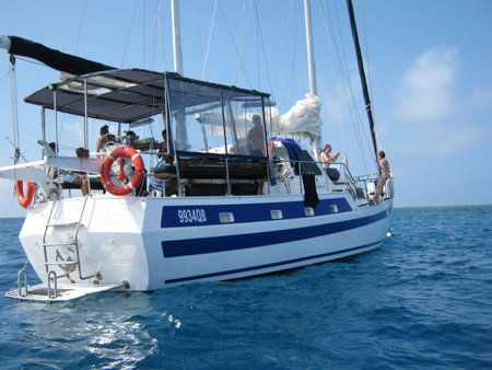 Coral Sea Dreaming Dive And Sail - Accommodation Gold Coast 3