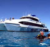 Silver Swift - Accommodation Gold Coast