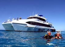 Silver Swift - Accommodation Gold Coast 0