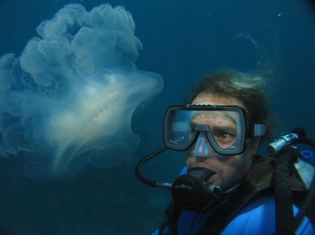 Silver Swift - Accommodation Gold Coast 2