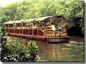 Daintree Rainforest River Trains - Accommodation Gold Coast 0