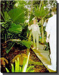 Daintree Rainforest River Trains - Accommodation Gold Coast 1