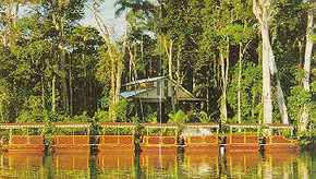 Daintree Rainforest River Trains - Accommodation Gold Coast 3
