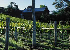 Goona Warra Vineyard - 1 Gold Coast 1