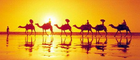 Banksia Adventures - Accommodation Gold Coast 1