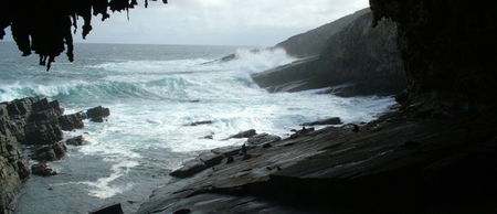 Banksia Adventures - Accommodation Gold Coast 2