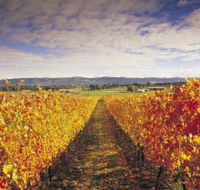 Link Tours - Accommodation Gold Coast