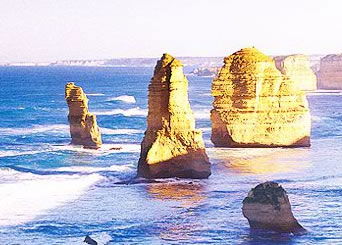 Bunyip Tours - Accommodation Gold Coast 3