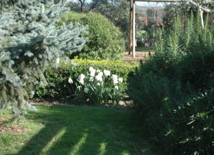 The Old Cheese Factory - Accommodation Gold Coast 2