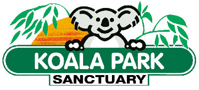 Koala Park Sanctuary - Accommodation Gold Coast