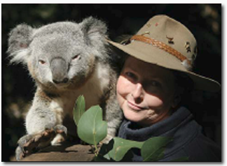 Koala Park Sanctuary - 1 Gold Coast 2