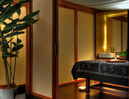 Pure Energy Concept Spas - Accommodation Gold Coast 2