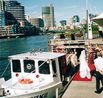 Bay  River Cruises - Accommodation Gold Coast
