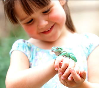 Reptile Encounters - Accommodation Gold Coast 1