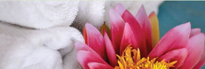 Regeneration Health Spa - Accommodation Gold Coast 2