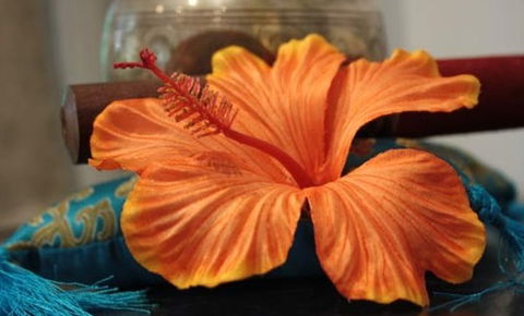 Annasha Day Spa Retreat - 1 Gold Coast 5