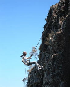 Adventures Around Brisbane - Accommodation Gold Coast 1