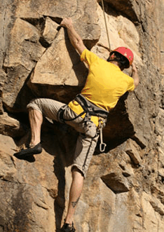 Adventures Around Brisbane - Accommodation Gold Coast 3