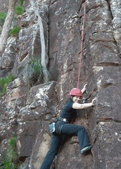 Adventures Around Brisbane - Accommodation Gold Coast 4