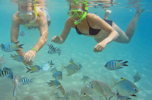 Australian Kayaking Adventures - Accommodation Gold Coast 2