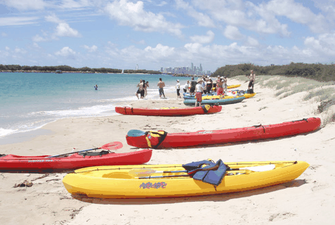 Australian Kayaking Adventures - Accommodation Gold Coast 3