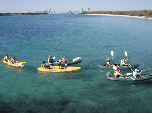 Australian Kayaking Adventures - Accommodation Gold Coast 4