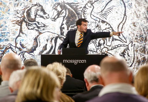 Mossgreen - Accommodation Gold Coast 0