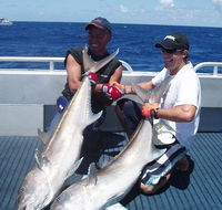 Blue Juice Charters - Accommodation Gold Coast