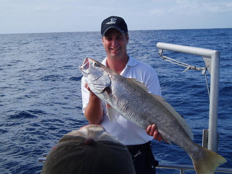 Blue Juice Charters - Accommodation Gold Coast 1