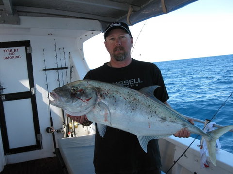 Blue Juice Charters - Accommodation Gold Coast 3